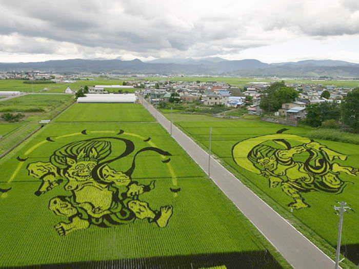 Land Art : Amazing Patterns in Rice Fields Animals + Nature 